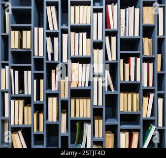 Bücher auf blauem Holzregal Stockfoto