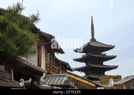 Kyoto, Japan, 3-3-2024: Yasaka-Pagode, Gion Geisha-Bezirk, während Hanami, mit belebten Straßen mit Touristen. Leuchtende Kirschblüten Stockfoto