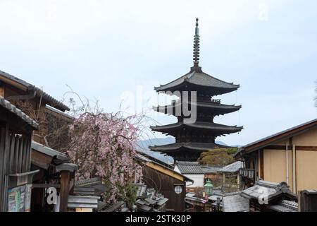 Kyoto, Japan, 3-3-2024: Yasaka-Pagode, Gion Geisha-Bezirk, während Hanami, mit belebten Straßen mit Touristen. Leuchtende Kirschblüten Stockfoto