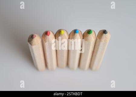 Sechs rohe Holzstifte auf weißem Hintergrund Stockfoto