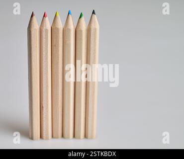 Sechs rohe Holzstifte auf weißem Hintergrund Stockfoto
