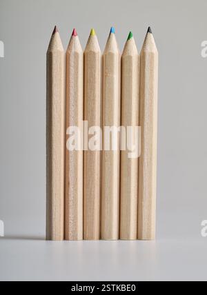 Sechs rohe Holzstifte auf weißem Hintergrund Stockfoto