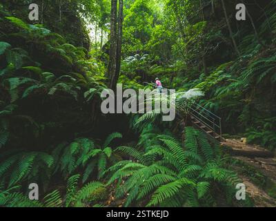 Frau, die auf Stufen im tropischen Wald läuft Stockfoto