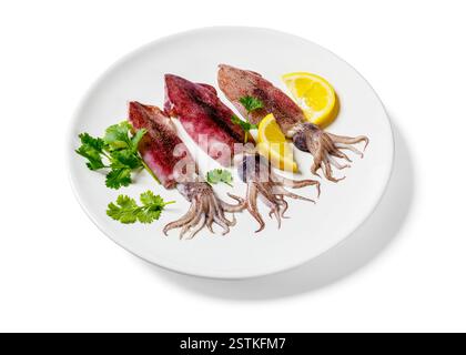 Ganz frischer roher Tintenfisch auf einer weißen Platte mit Zitrone und Petersilie isoliert auf weißem Hintergrund Stockfoto