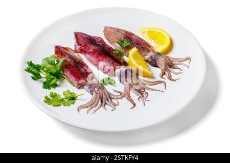 Ganz frischer roher Tintenfisch auf einem weißen Teller mit Zitrone und Petersilie isoliert auf weißem Hintergrund, Nahaufnahme Stockfoto