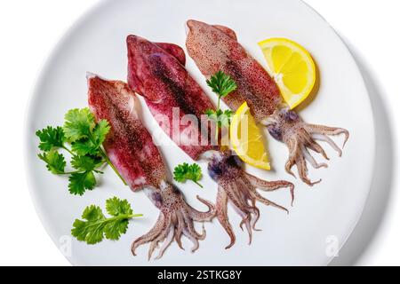 Ganz frischer roher Tintenfisch auf einem weißen Teller mit Zitrone und Petersilie isoliert auf weißem Hintergrund, flach gelegt, Nahaufnahme Stockfoto