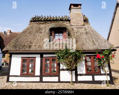 Vor dem Fachwerkhaus mit Strohdach in der Altstadt von Maasholm, Schleswig-Holstein, Deutschland Stockfoto