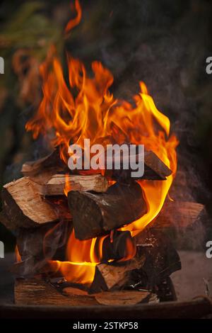 Abendliches Kaminfeuer 16467 Stockfoto