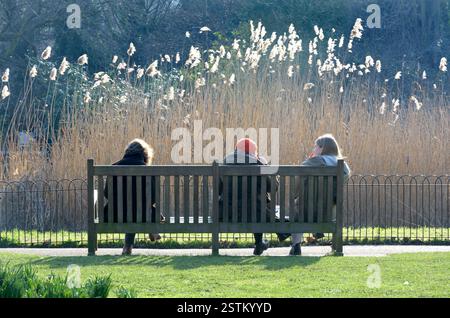 London, Großbritannien. Drei Frauen sitzen auf einer Bank im St. James's Park, Februar. Stockfoto
