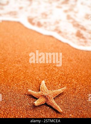 Seastar auf dem Sand des Strandes und kommende Wellen viel Copyspace, niemand herum, Reise- oder Urlaubskonzept Stockfoto