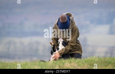 Schäferin spielt einen Border Collie Welpen. North Yorkshire, Großbritannien. Stockfoto