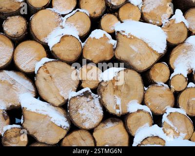 Ein Stapel geschnittener Holzstämme unter dem Schnee in der Wintersaison der dolomiten Stockfoto