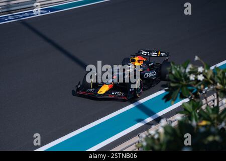 F1 Etihad Airways Abu Dhabi Grand prix 2024 - Max Verstappen aus den Niederlanden fährt während der Qualifikation das Oracle Red Bull-Rennen Stockfoto