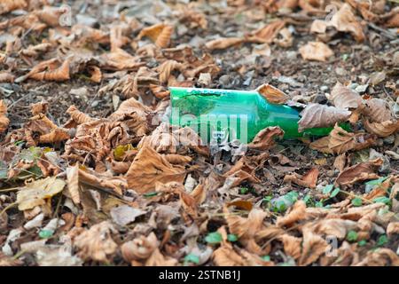 Italien, Lombardei, Leere Flasche Bier liegt auf dem Boden in einem Park unter Blättern Stockfoto