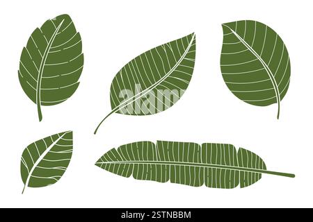 Eine detaillierte Vektor-Illustration verschiedener grüner Blätter, einschließlich Monstera- und Bananenblätter. Diese botanische Kollektion zeigt natürliches Laub in A Stock Vektor