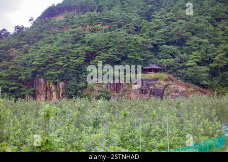 Goesan County, Südkorea - 10. September 2020: Ein traditioneller koreanischer Pavillon auf einem felsigen Hügel, umgeben von üppigen Kiefernwäldern und Overlo Stockfoto