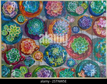 Ein komplettes 1000-teiliges Puzzle mit Sukkulenten Pflanzen in Töpfen und Vasen. Stockfoto