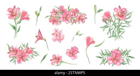 Pinkfarbene Alstroemeria Blumen Clip Art Aquarellillustration. Tropisch blühende Blumensträuße und Einzelblumen für Valentinstag, Muttertag Stockfoto