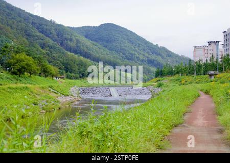 Goesan County, Südkorea - 10. September 2020: Seonghwang Stream fließt sanft durch die Landschaft außerhalb von Goesan, wobei ein kleines Wehr reguliert wird Stockfoto