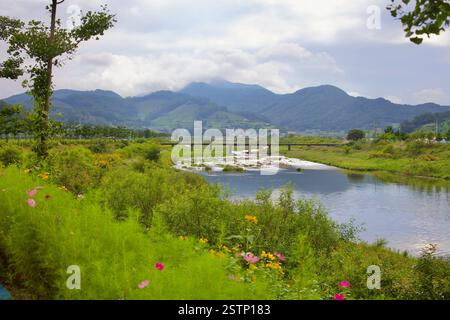 Goesan County, Südkorea - 10. September 2020: Ein friedlicher Blick auf den Seonghwang Stream, der sich durch üppiges Grün und Wildblumen schlängelt, mit einer Entfernung Stockfoto