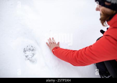 Vergleich von Wanderhandfrau und grosser Bärenweg im frischen Pulverschnee beim Wandern im Urwald Kocevski rog in Dolenjska, slowenien Stockfoto