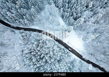 Aus der Vogelperspektive eines weißen Autos, das auf einer kurvenreichen, schneebedeckten Bergstraße in einem Kiefernwald fährt, Winterlandschaft mit hohen, schneebedeckten Kiefern Stockfoto
