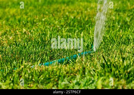 Bewegliche Bewässerung Sysem verteilt Wasser auf den grünen Rasen, Gartenregner in einem sonnigen Sommer. Stockfoto