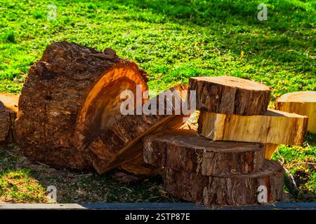 Frisch geschnittenes Brennholz am Morgen auf dem Gras Stockfoto