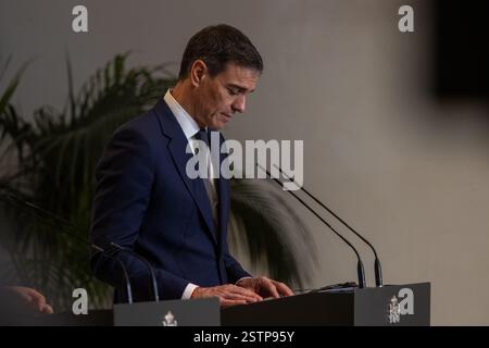 Madrid, Spanien. Februar 2025. Offizielles Treffen, Palast Moncloa, Madrid, Präsident der spanischen Regierung, Pedro Sánchez, Präsident Ägyptens, Abdelfattah al-Sisi. Quelle: D. Canales Carvajal/Alamy Live News Stockfoto