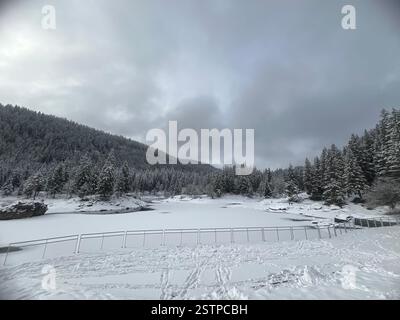 Eine friedliche Winterlandschaft mit einem gefrorenen See und schneebedeckten Kiefern. Stockfoto