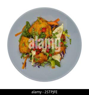 Knuspriger Hähnchensalat nach asiatischer Art mit Gyoza-Knödeln, Blick von oben. Isoliert auf weißem Hintergrund mit Beschneidungspfad. Stockfoto