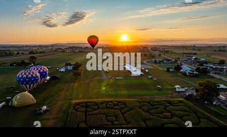 Heißluftballons steigen anmutig in der Dämmerung auf und werfen farbenfrohe Schatten über ein pulsierendes Festivalfeld. Die Sonne bricht den Horizont und beleuchtet die ländliche Landschaft und die Feierlichkeiten. Stockfoto