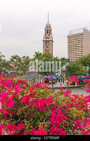 Clock Tower-Hongkong Stockfoto