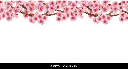 Horizontaler Rahmen von Zweigen mit Sakura-Blüten isoliert auf weißem Hintergrund. Frühlingsblühende Kirschblüten für das Hanami-Festival. Nahtlos Stockfoto