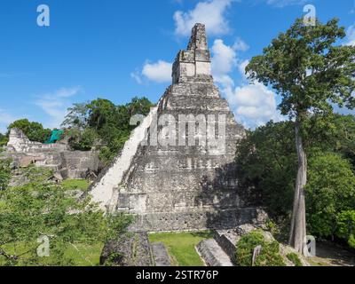 Ein Maya-Tempel in Tikal an einem sonnigen Tag mit Bäumen im Dschungel Stockfoto