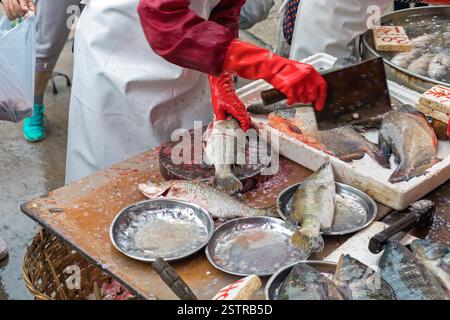 Fischhändler Schneiden Stockfoto