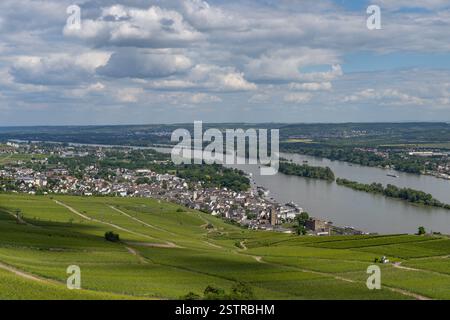 Luftaufnahme der historischen Stadt Rüdesheim am Rhein in Deutschland Stockfoto