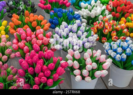 Tulpensträuße Aus Holz Stockfoto