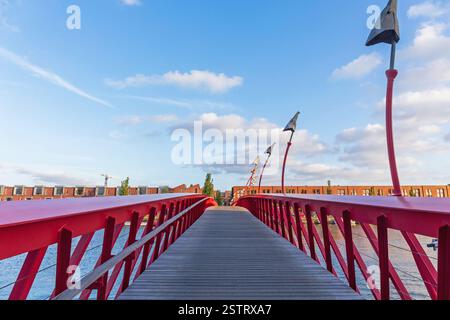Python Bridge in Amsterdam Stockfoto