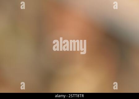 Abstraktes, verschwommenes Bild mit Erdtönen in einer Mischung aus Braun und Beige Stockfoto