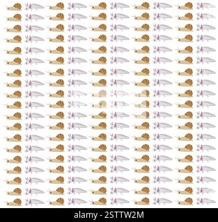 Axolotl, Schnecke als Musterhintergrund Stock Vektor