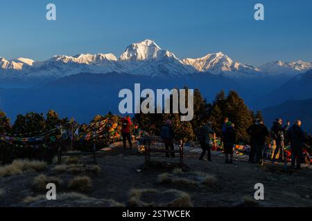 Dhaulagiri (8167 m), Blick vom Poon Hill bei Sonnenaufgang Stockfoto