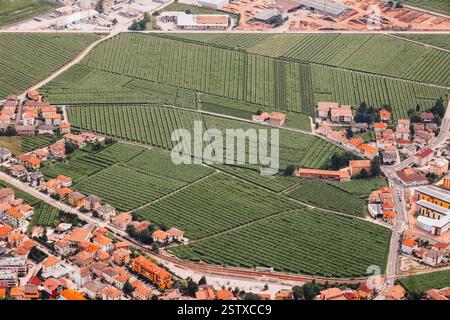 Blick von oben auf einen Weinberg am Fuße der Berge. Der Weinberg ist von einer kleinen Stadt umgeben. Stockfoto