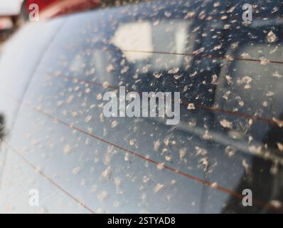 Eine seltene Windschutzscheibe eines Fahrzeugs nach Regen, die in Indien mit Schlammflecken auf der Scheibe zurückgelassen wurde. Stockfoto