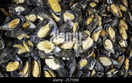 Gefrorene Muscheln in Fischhandel, Verkauf und Lebensmittelhandel Stockfoto