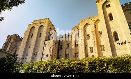 Befestigte Mauern und Türme mit einer Umzäunung des hinteren Teils des Papstpalais in Avignon, Frankreich Stockfoto