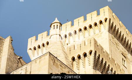 Turm mit Wehrmauer und befestigter Mauer des hinteren Teils des Papstpalais in Avignon, Frankreich Stockfoto