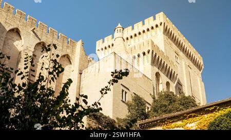 Turm mit Wehrmauer und befestigter Mauer des hinteren Teils des Papstpalais in Avignon, Frankreich Stockfoto
