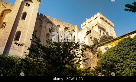 Turm mit Wehrmauer und befestigter Mauer des hinteren Teils des Papstpalais in Avignon, Frankreich Stockfoto