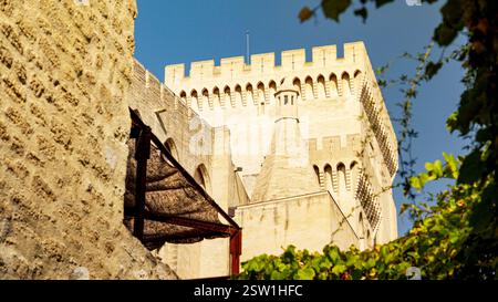 Turm mit Wehrmauer und befestigter Mauer des hinteren Teils des Papstpalais in Avignon, Frankreich Stockfoto